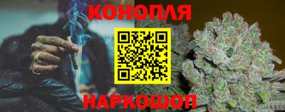 гидропоника Тула