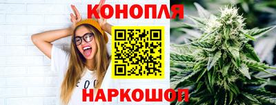 винт Тара