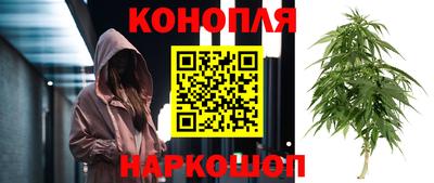 гидропоника Тула