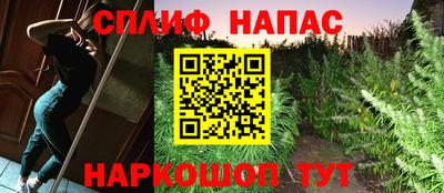 прущие крисы Тверь