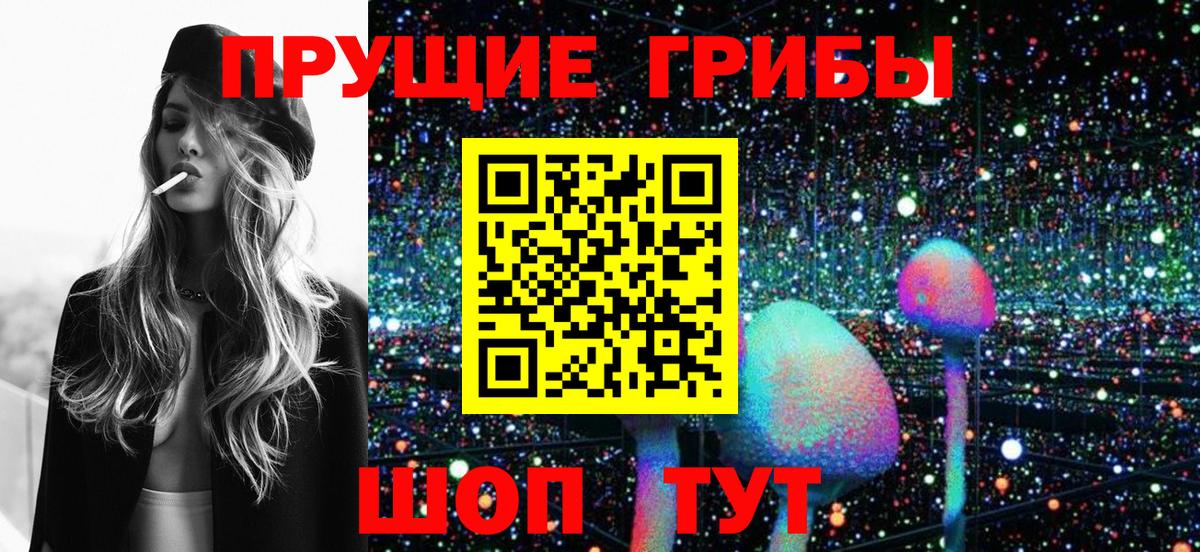 Узловая  Галлюциногенные грибы Cubensis  Вход с VPN  Псилоцибиновые грибы GOLDEN TEACHER 